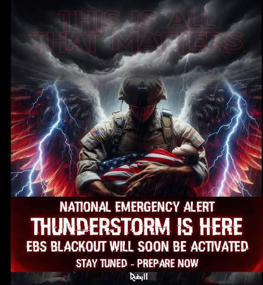 Q STORM 1776🇺🇸 tweet media