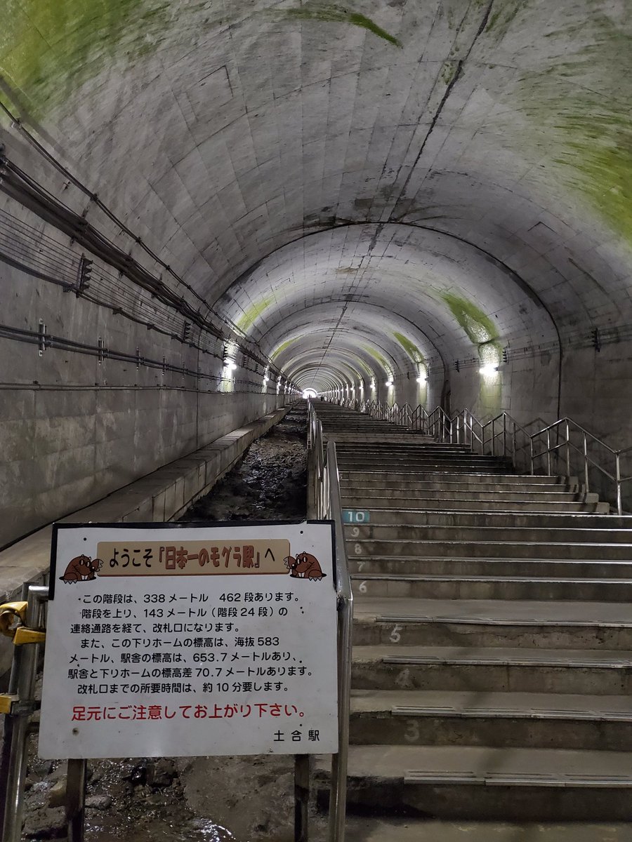 ㈲☆ハゲ野郎☆落武者☆キャスカ☆ tweet media