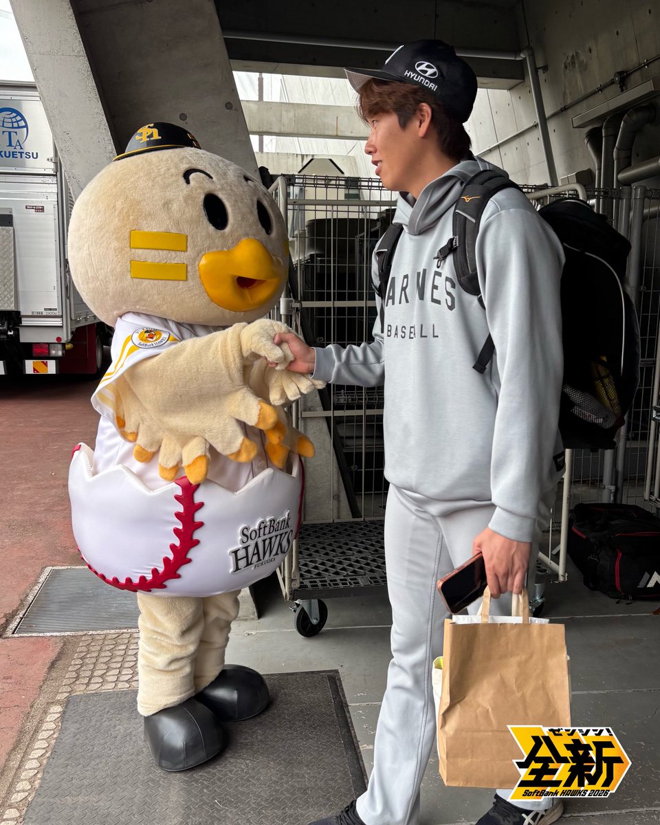 HAWKS_chikugo's tweet photo. お久しぶりです🐣♪

#sbhawks #全新 #タマスタ筑後 #chibalotte https://t.co/kV5Q6cK8ZT