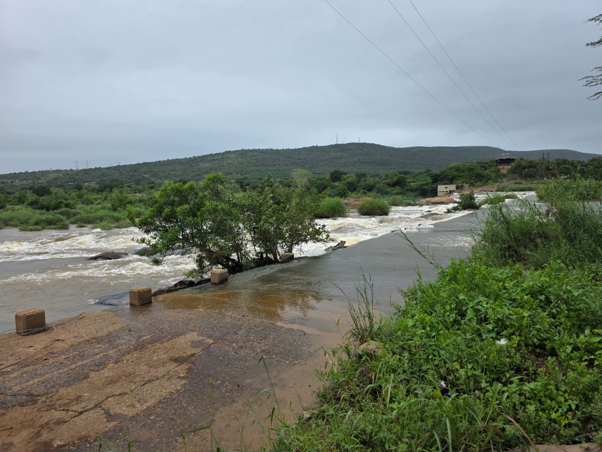 SABC News tweet media