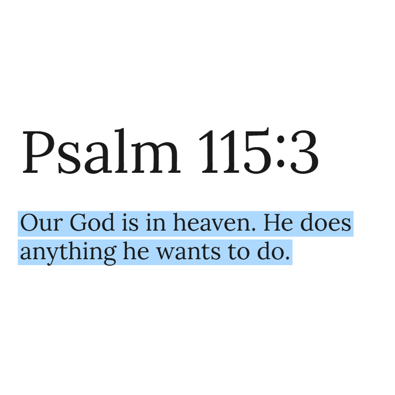 Holy Bible tweet media
