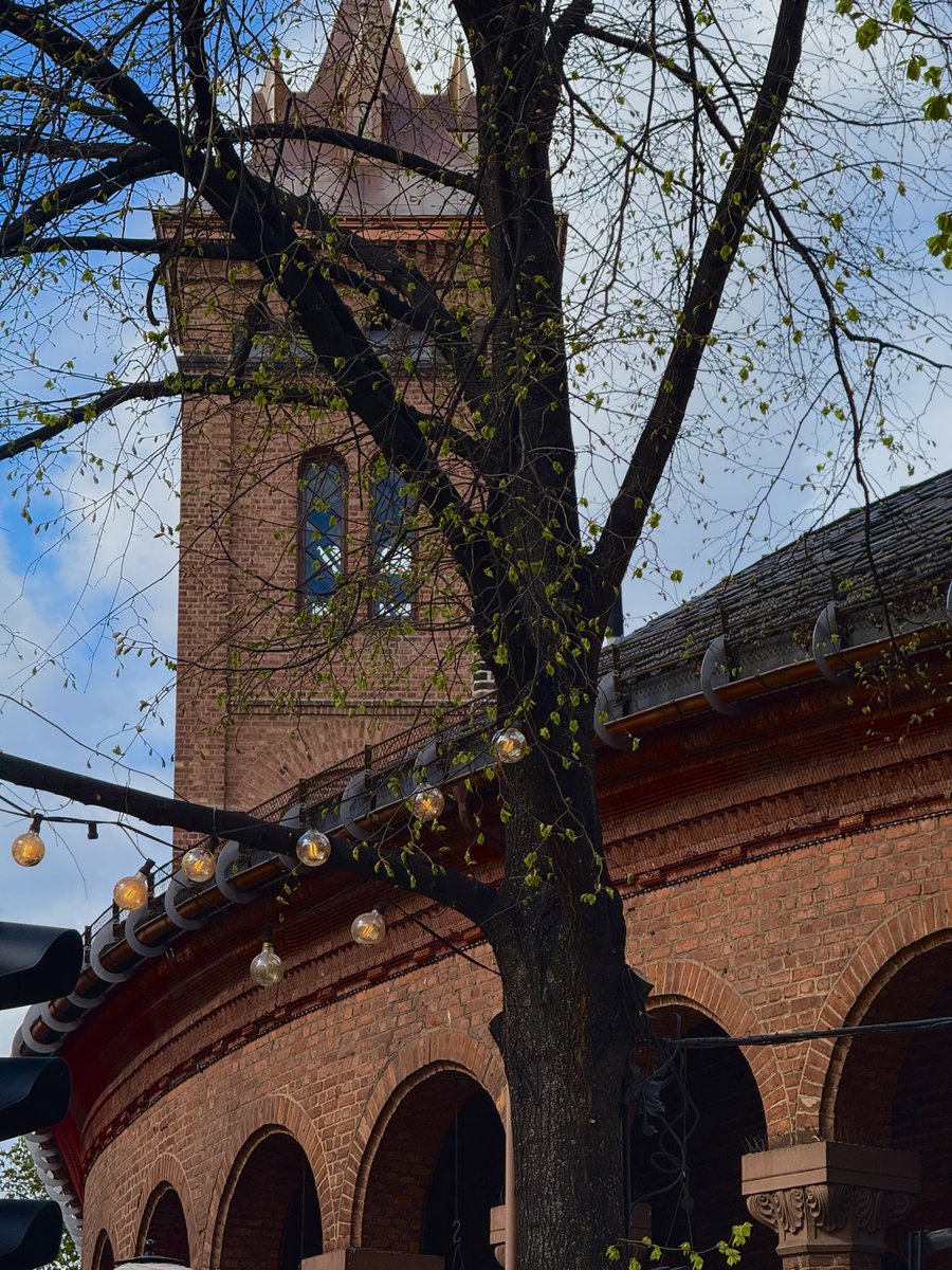 socialanth_19's tweet image. Grener av Oslos gater 🪾

@VisitOSLO 

#Photography
#oslo 
#norway