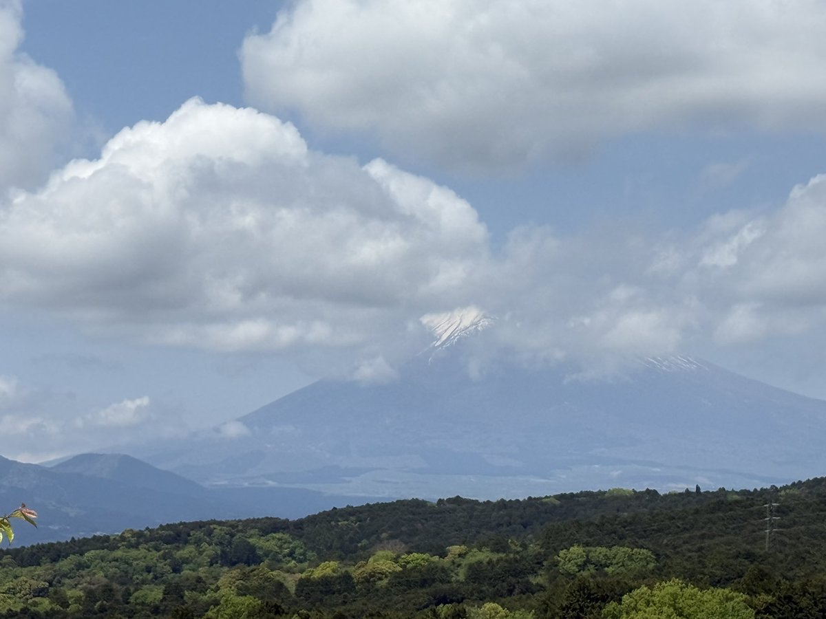 コロ助 tweet media