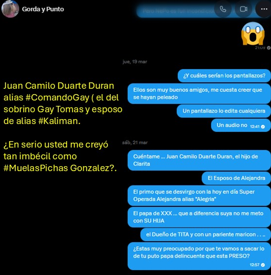 Abejorro de Combate tweet media