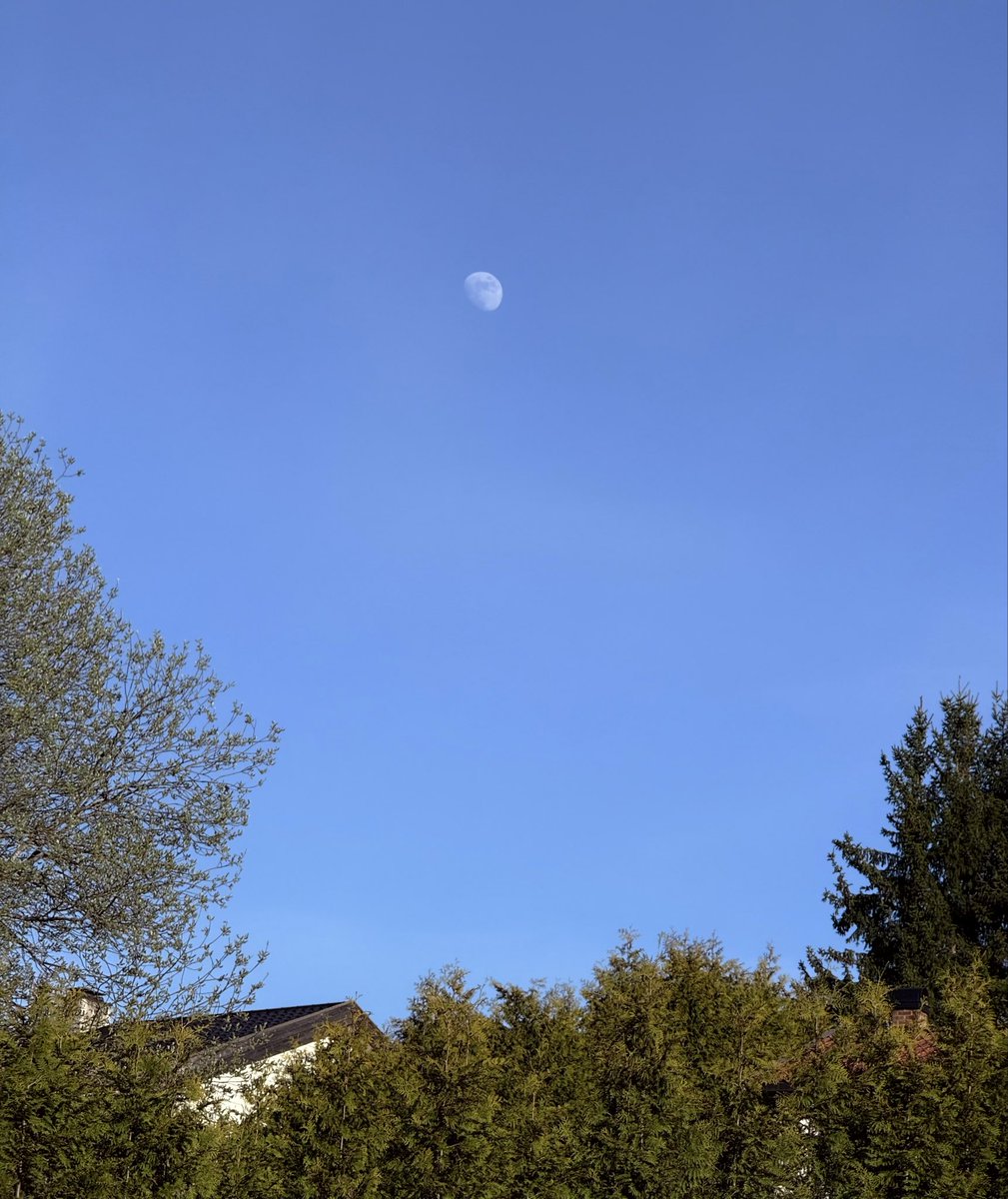socialanth_19's tweet image. 🌖

#Photography 
#norway 
#oslo 
#moon 
#landscape