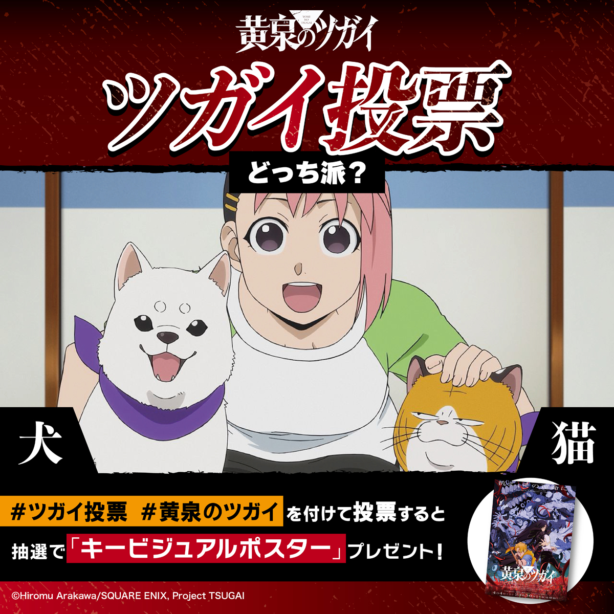 ◈♢━━━━━♢◈ #ツガイ投票 ◈♢━━━━━♢◈ 対となる究極の