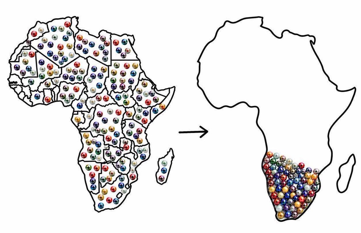 Kganki Chávez Mphahlele 🇿🇦 tweet media