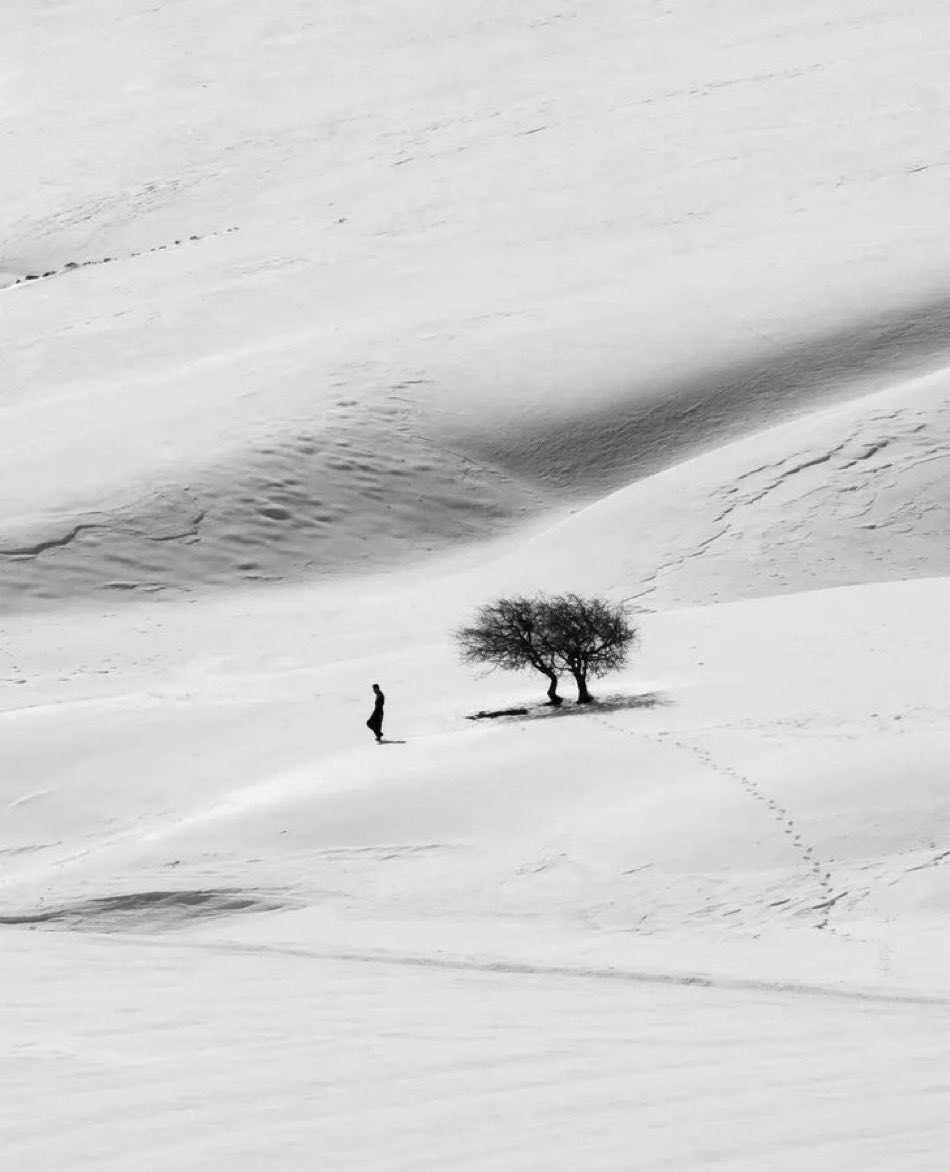 « Il faut une foi solide pour vivre dans le désert de la solitude. »

Fuzûlî