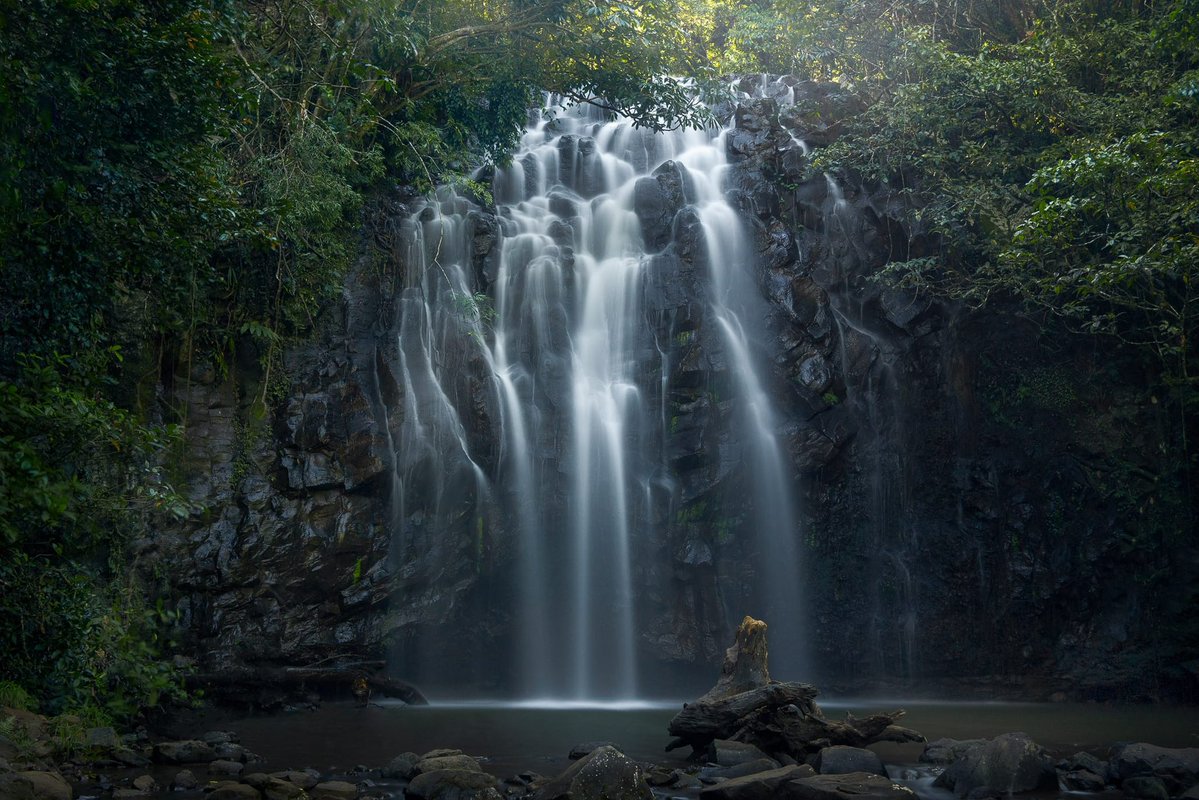 Tom (ablokecalledtom) tweet media