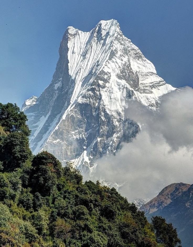 The Mountains tweet media