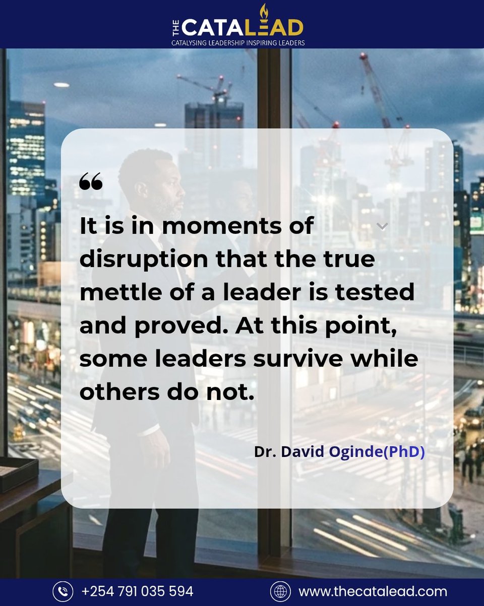 The Catalead tweet media