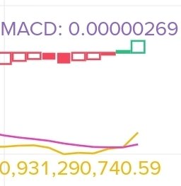 かにめし tweet media