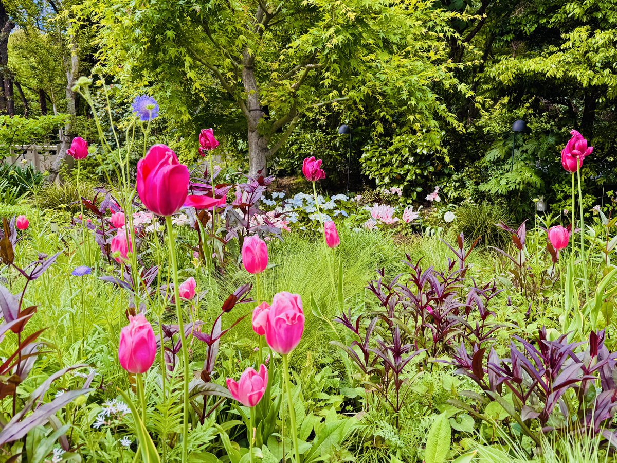横尾しずか 豊中市議会議員 大阪維新の会 tweet media