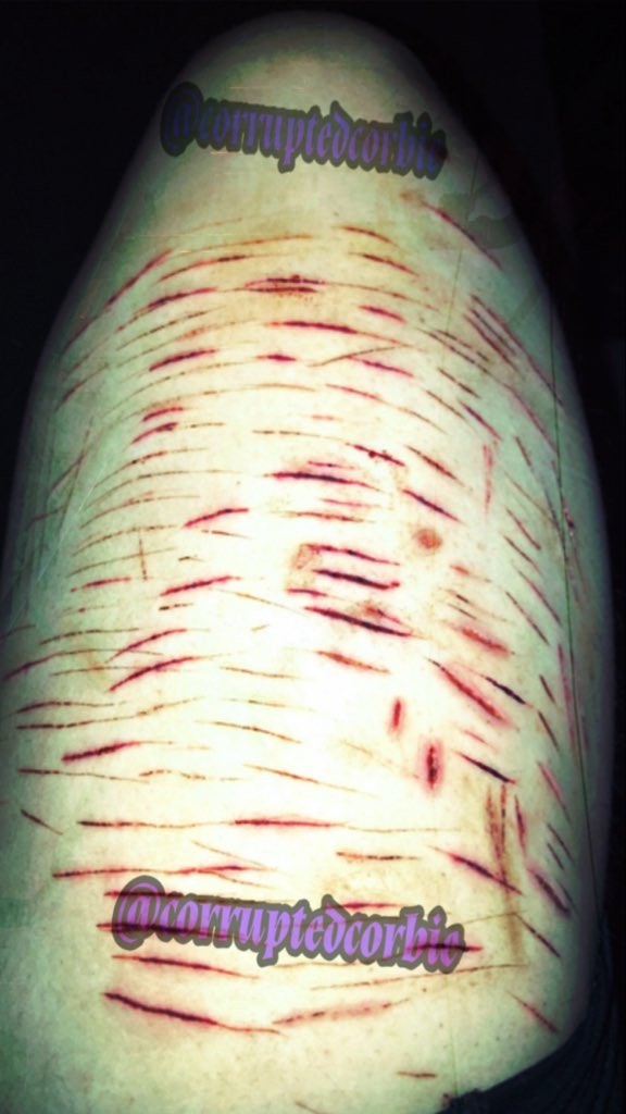 raven || minors dnf tweet media