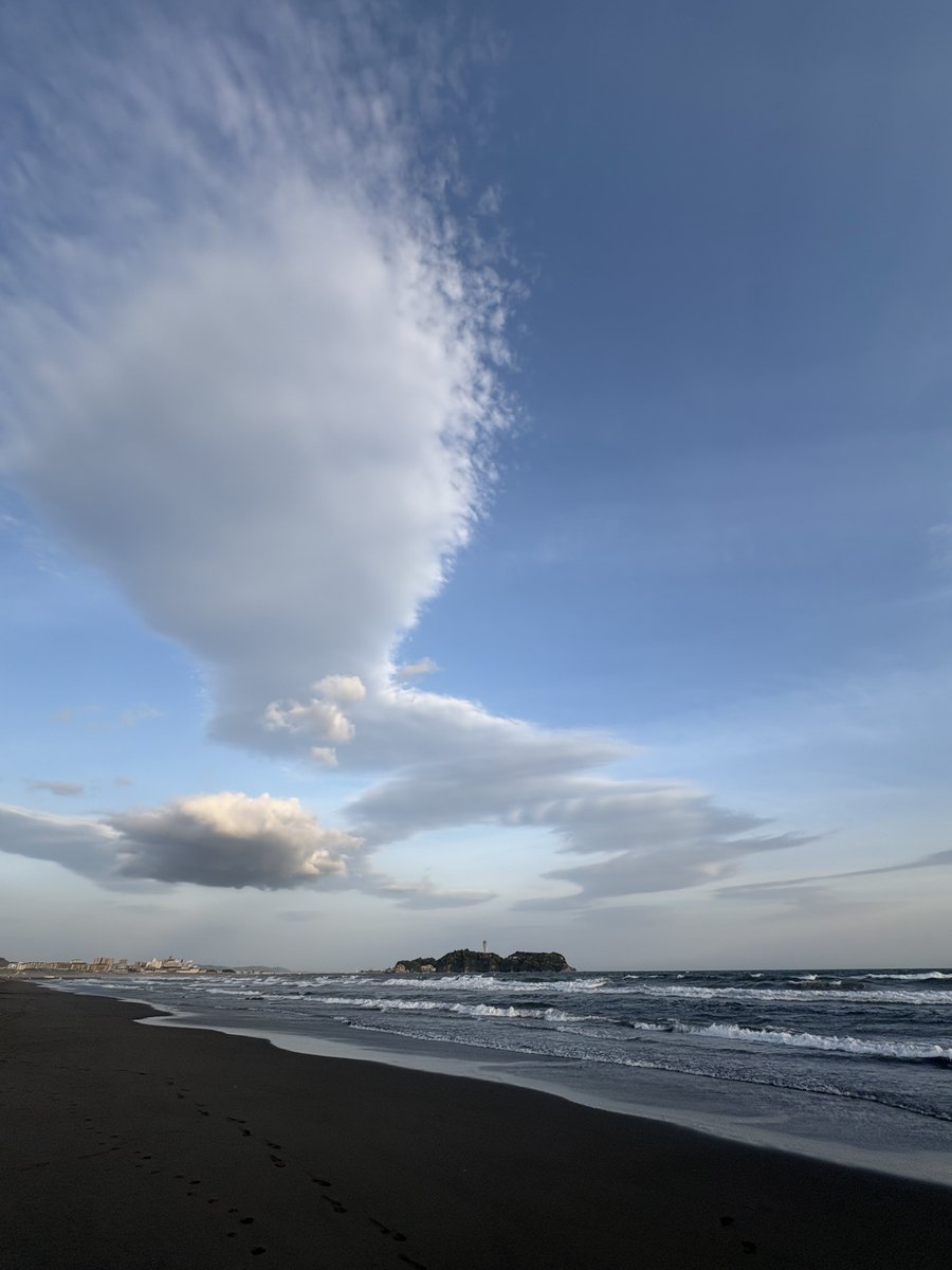 江ノ島さんぽちゃん tweet media