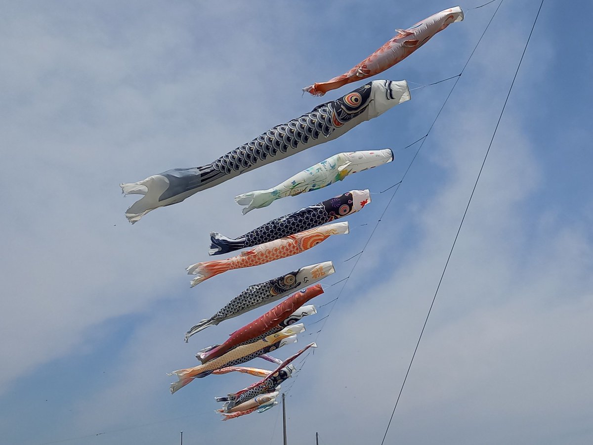 83foot2's tweet photo. 休憩スポット　
663「赤堀せせらぎ公園」　
鯉のぼりの下をウォーキング　
群馬県伊勢崎市堀下町　
2026/04/28（火）　
#休憩スポット　#せせらぎ公園　
#鯉のぼり　#ウォーキング　
#公園 https://t.co/KcH0d3IF8G