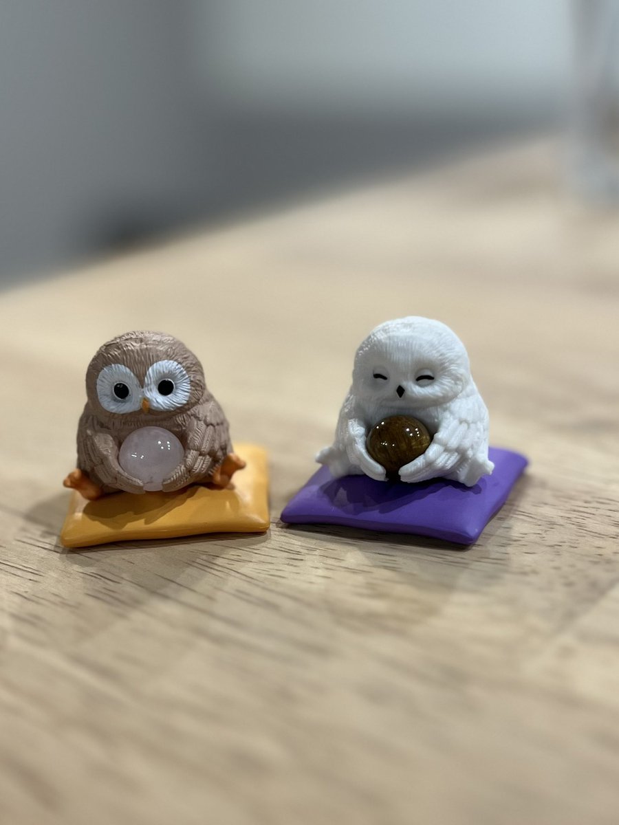 coromowl's tweet photo. 昨日スーパーで見つけたガチャガチャが可愛すぎて🥰🥰
今日もやったらシロフクロウが被りました（笑） https://t.co/IfbAAcO12B