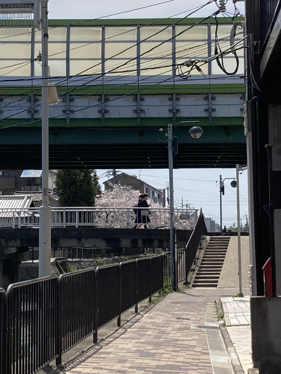 宇治莵 tweet media