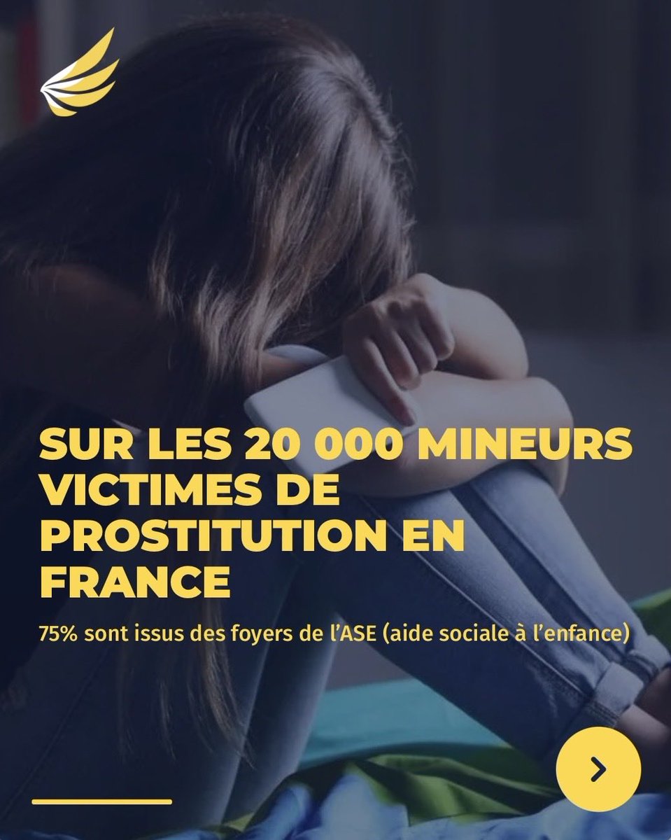 Collectif Némésis tweet media