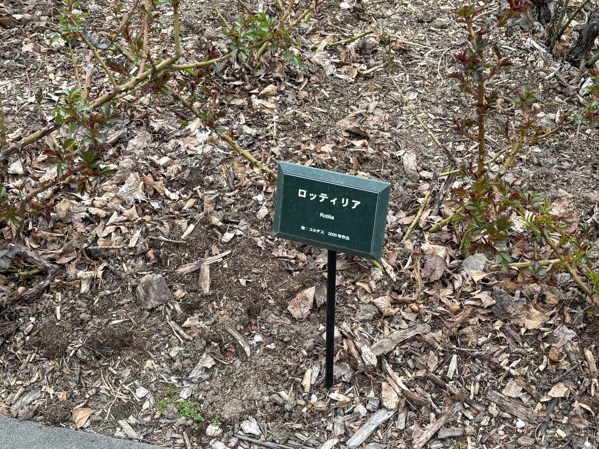 すぎんちゅ@SCRAP tweet media