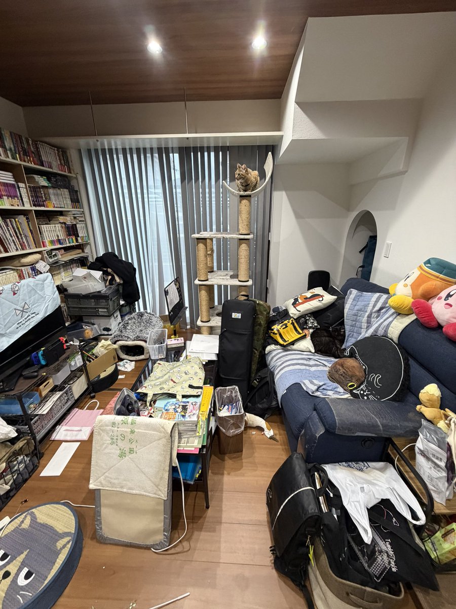 かみかん@猫好きゲーム実況者 tweet media