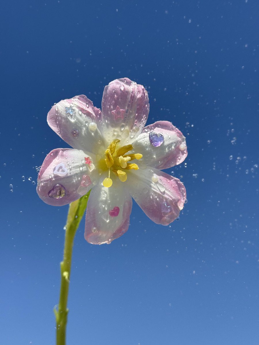 itsloopy tweet media