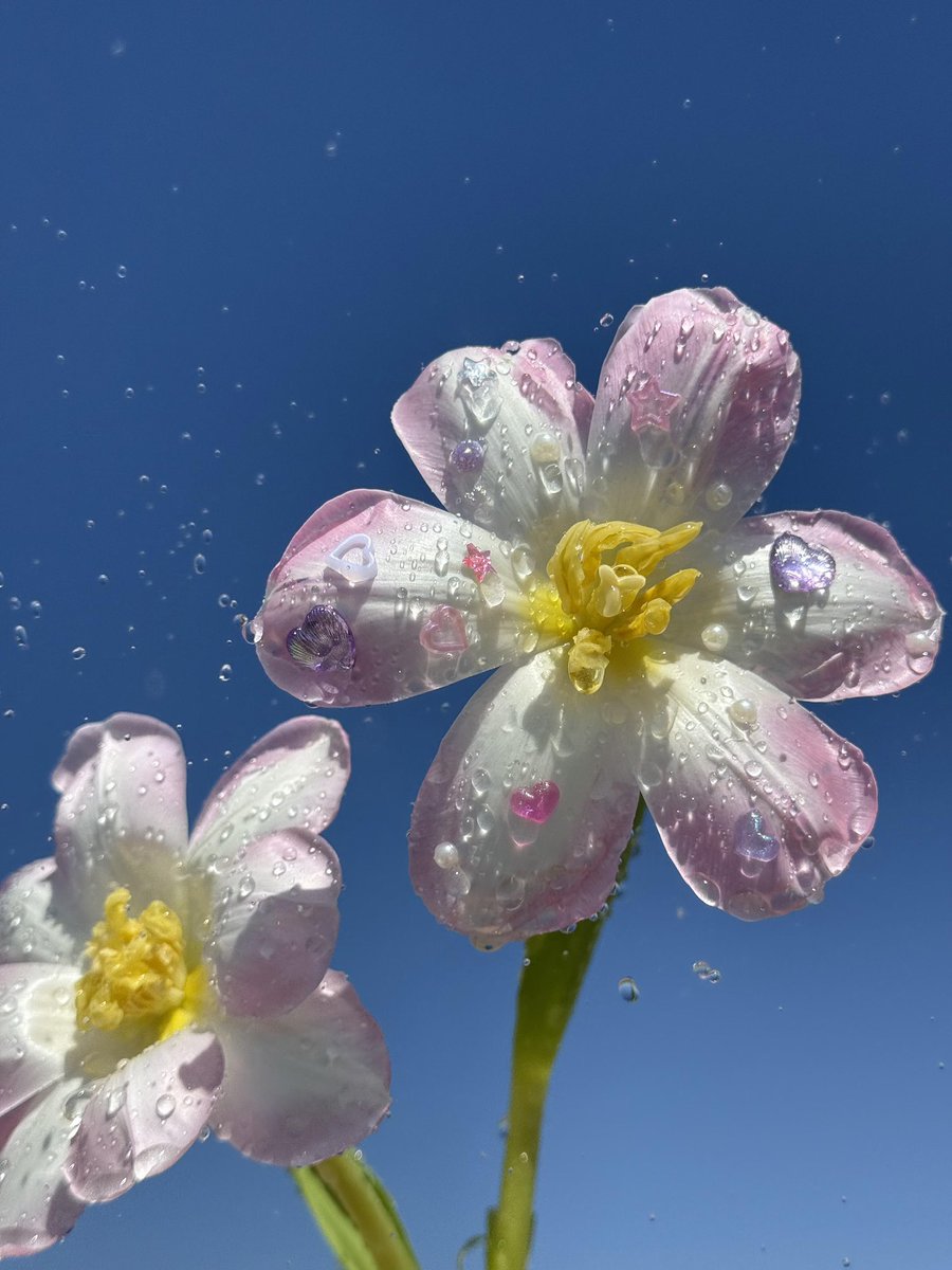 itsloopy tweet media