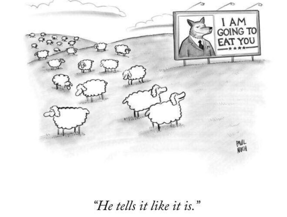 Crowd Scientist tweet media