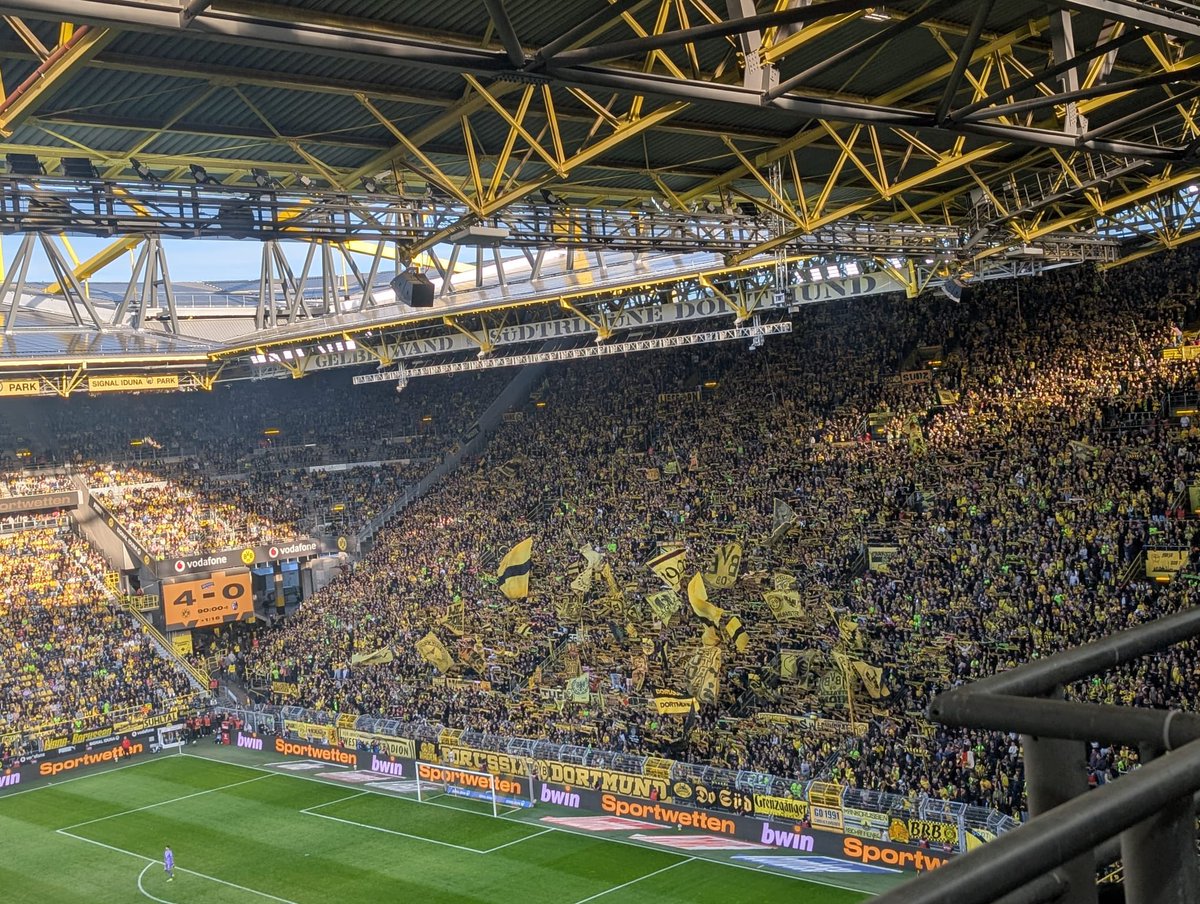 ReservebankBor's tweet photo. 1.000 Heimspiel und erneuter Perspektivwechsel #bvbscf https://t.co/QrjNZE2f5X
