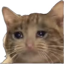 el ⋆. 𐙚 ˚ tweet media