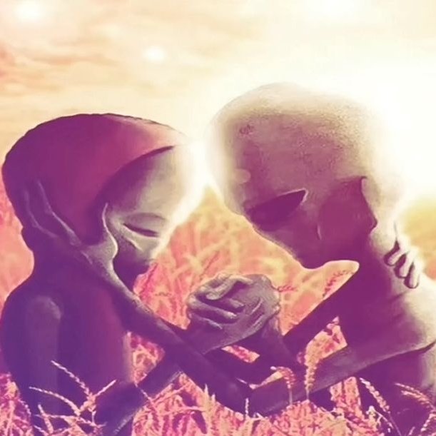 coervogue tweet media