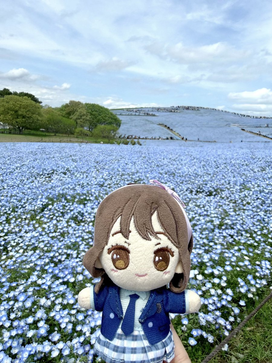 イエローとブルーで綺麗なBlooming Flowerカラーだった🩵💛 #かおり