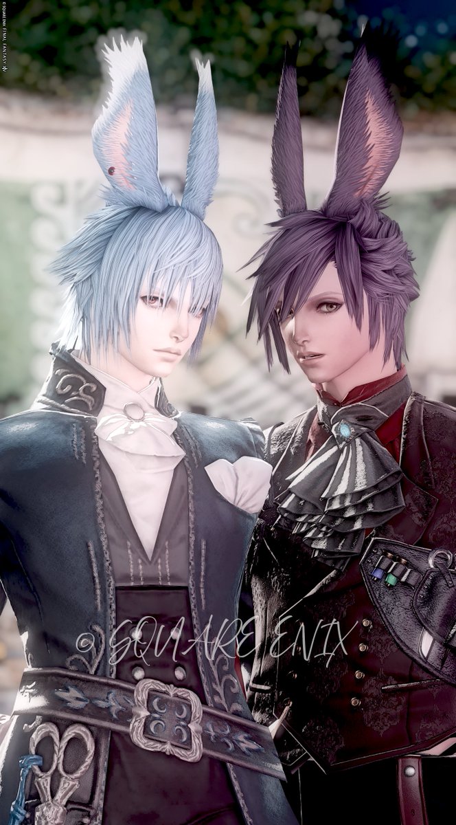 Dice(ダイス)❂🜸☽♀🐰 tweet media