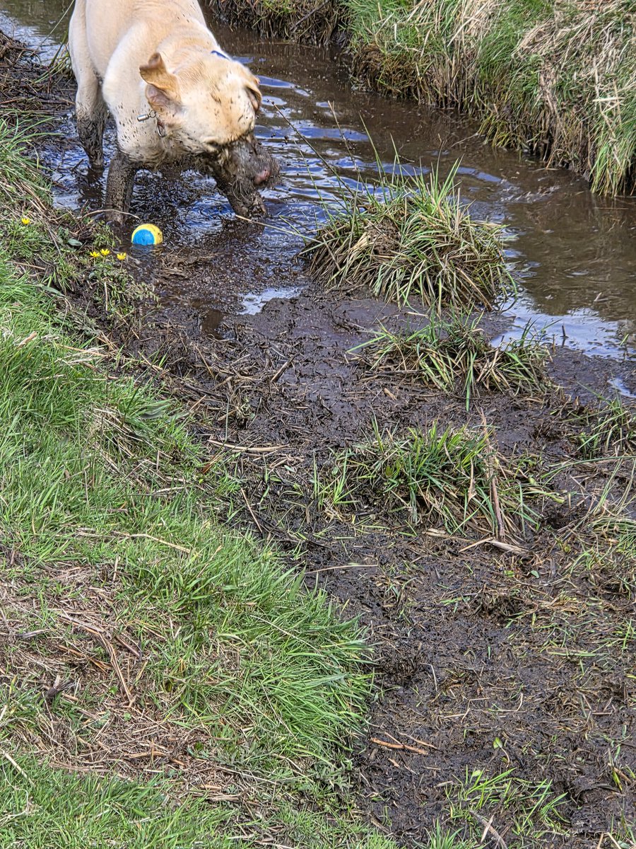 Merlin Moo🌈 tweet media