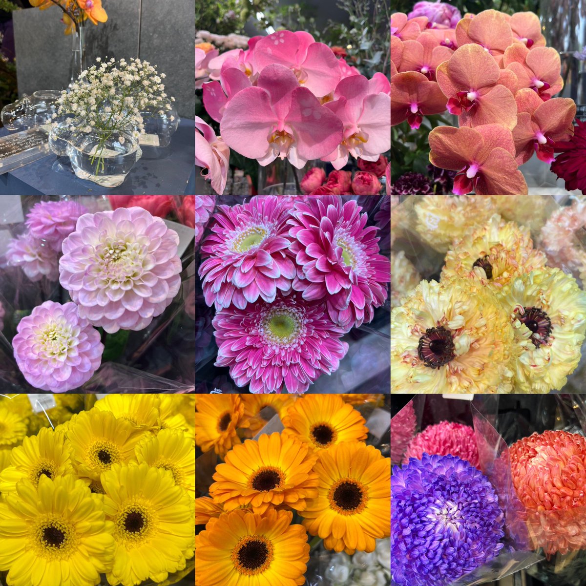 さやぴ🐻ྀི🌻 tweet media