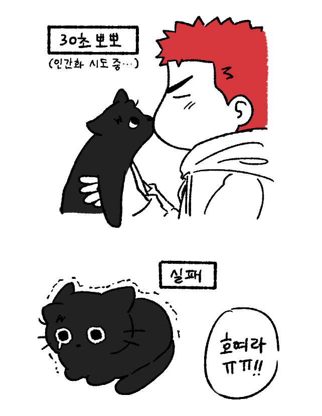rksd2dur's tweet photo. 🐈‍⬛ https://t.co/oLKKqLS7r0