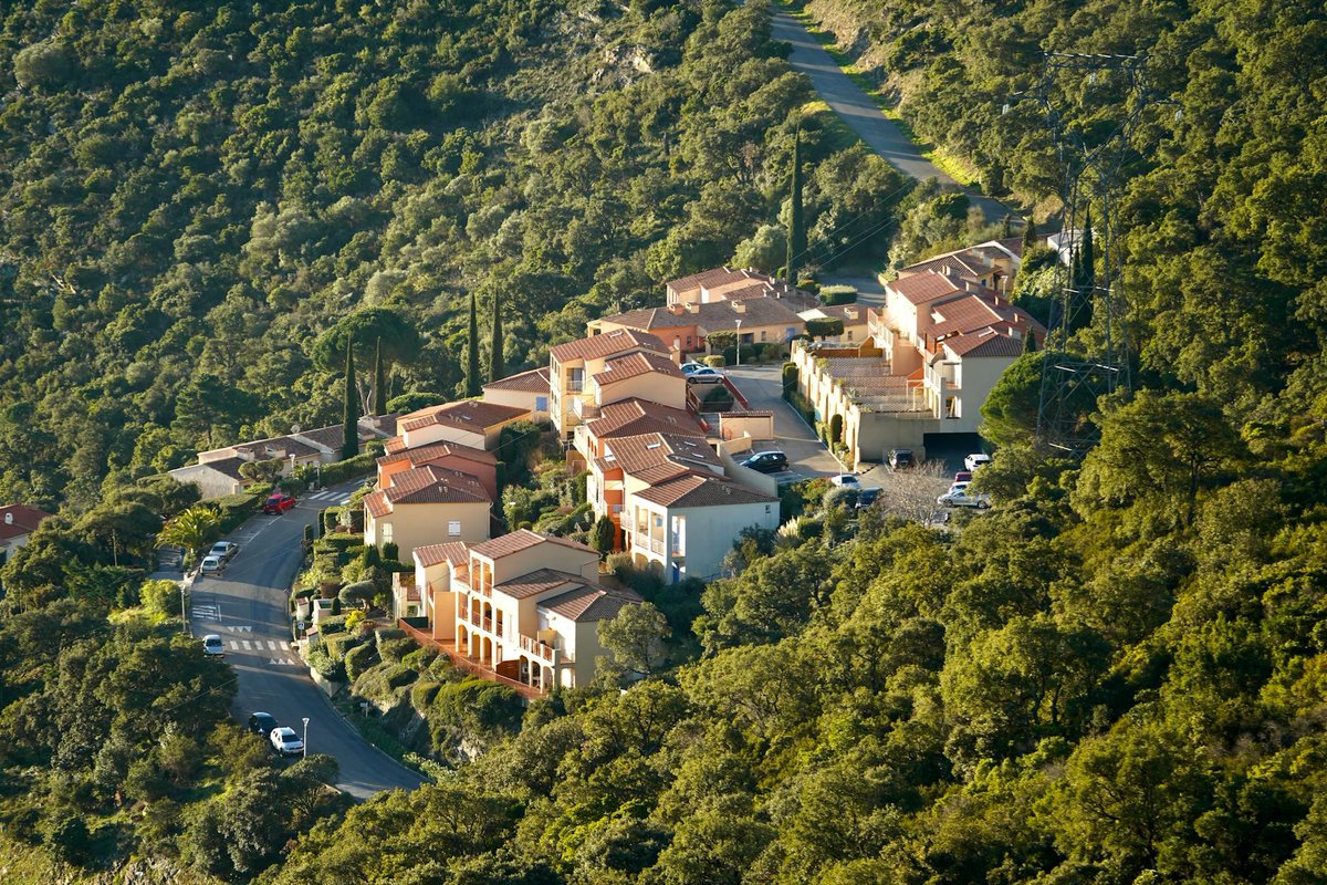 Атлет-пивоєд tweet media