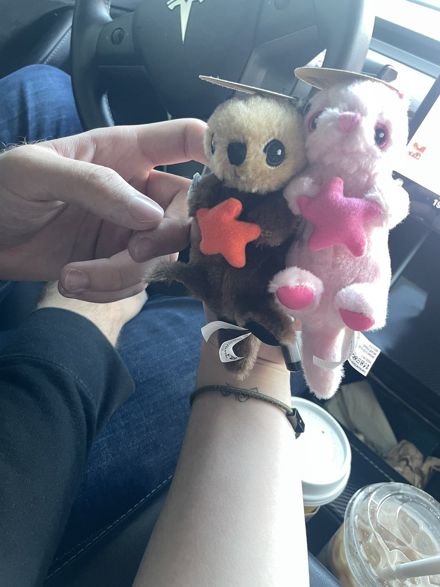 headlesssoph's tweet photo. aquarium with the plez https://t.co/VLkyfnrK3F