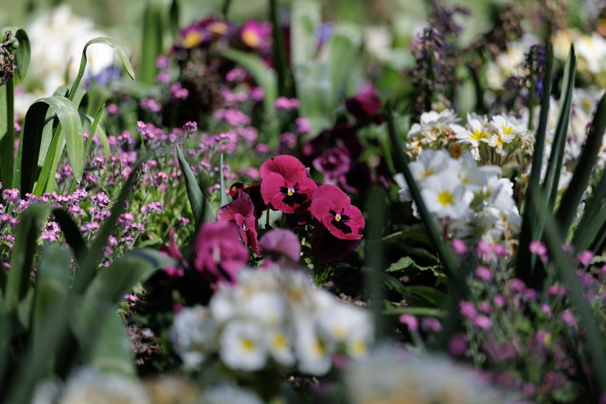 Jardin du Luxembourg tweet media