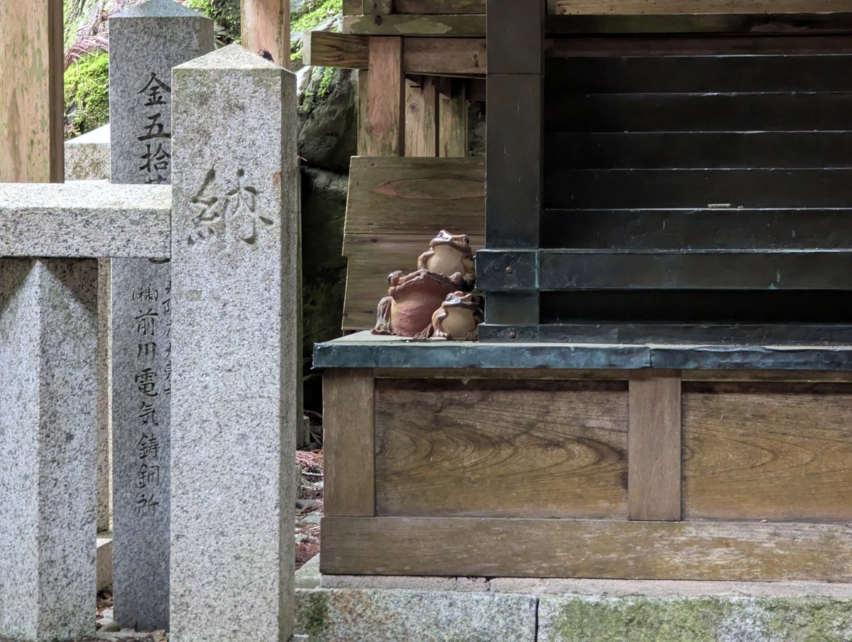 自宅Kevin tweet media