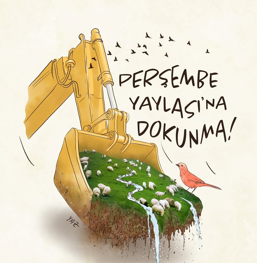 Gölköyün Sesi tweet media