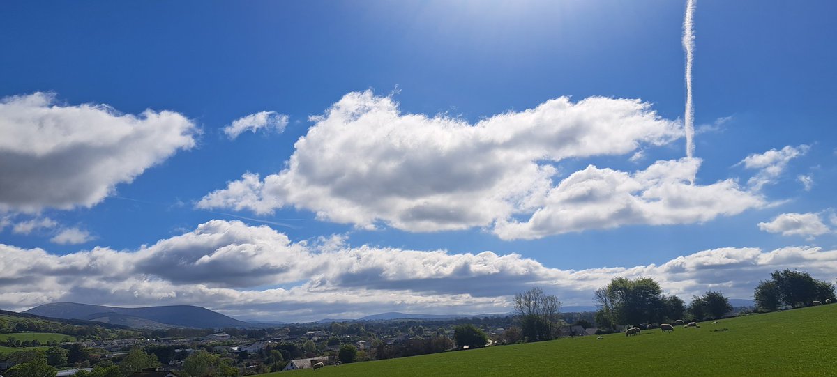 PetersPunts's tweet image. The Sun Is Shining For @punchestownrace Today!
#Racing #Ireland #PTown26