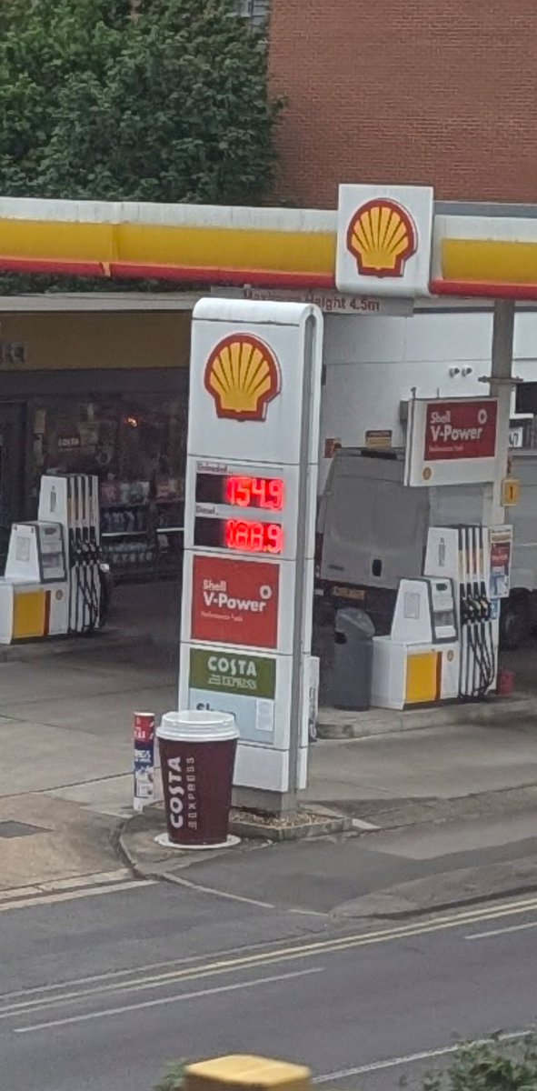 Juo (They/Them) 𓅃 tweet media