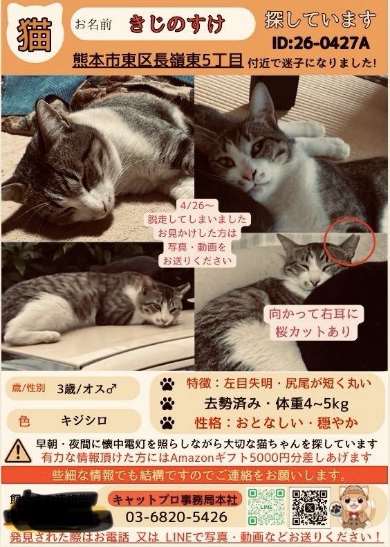 べりすも@らいよん@土曜のヤツら🐯@馬主 tweet media