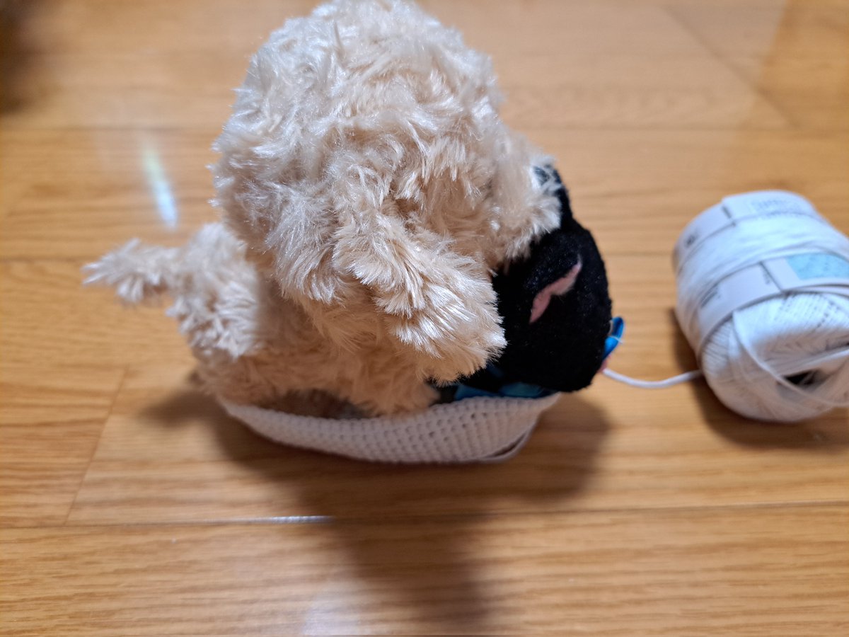 とっとろ♪ tweet media