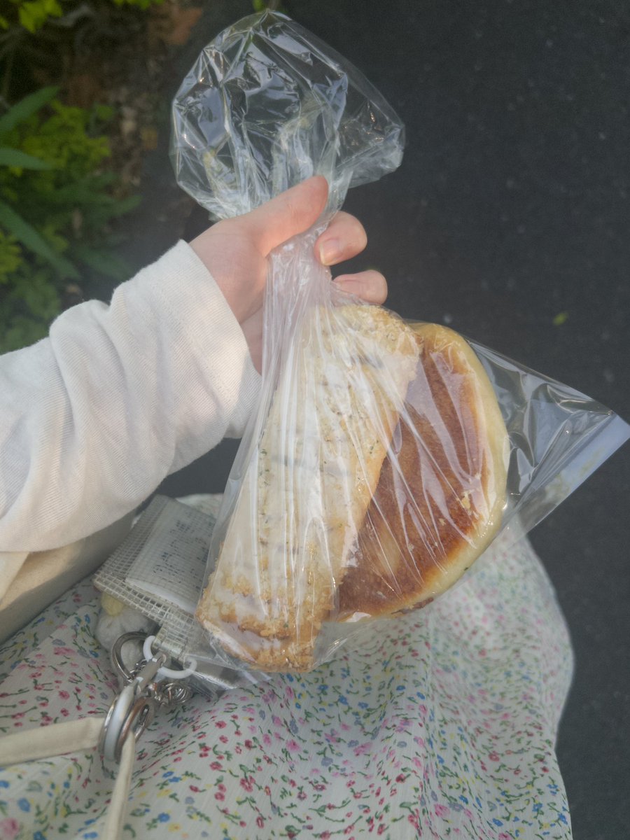 サンライズひるめ tweet media