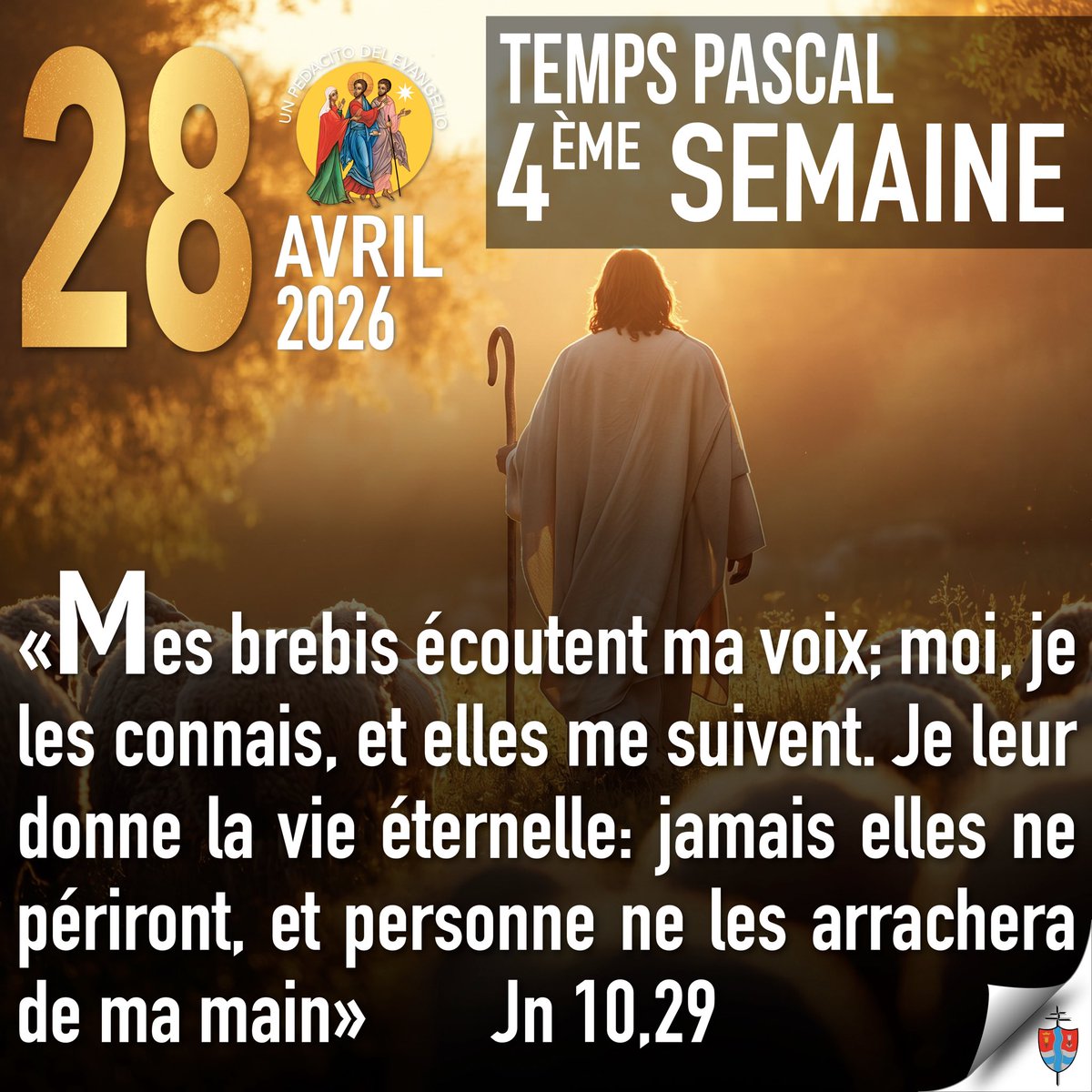 padrebernales's tweet image. 🟡 Un peu de l'évangile•4ème Semaine du Temps Pascal

#Pâques #LecturesDeLaMesse #Évangeli