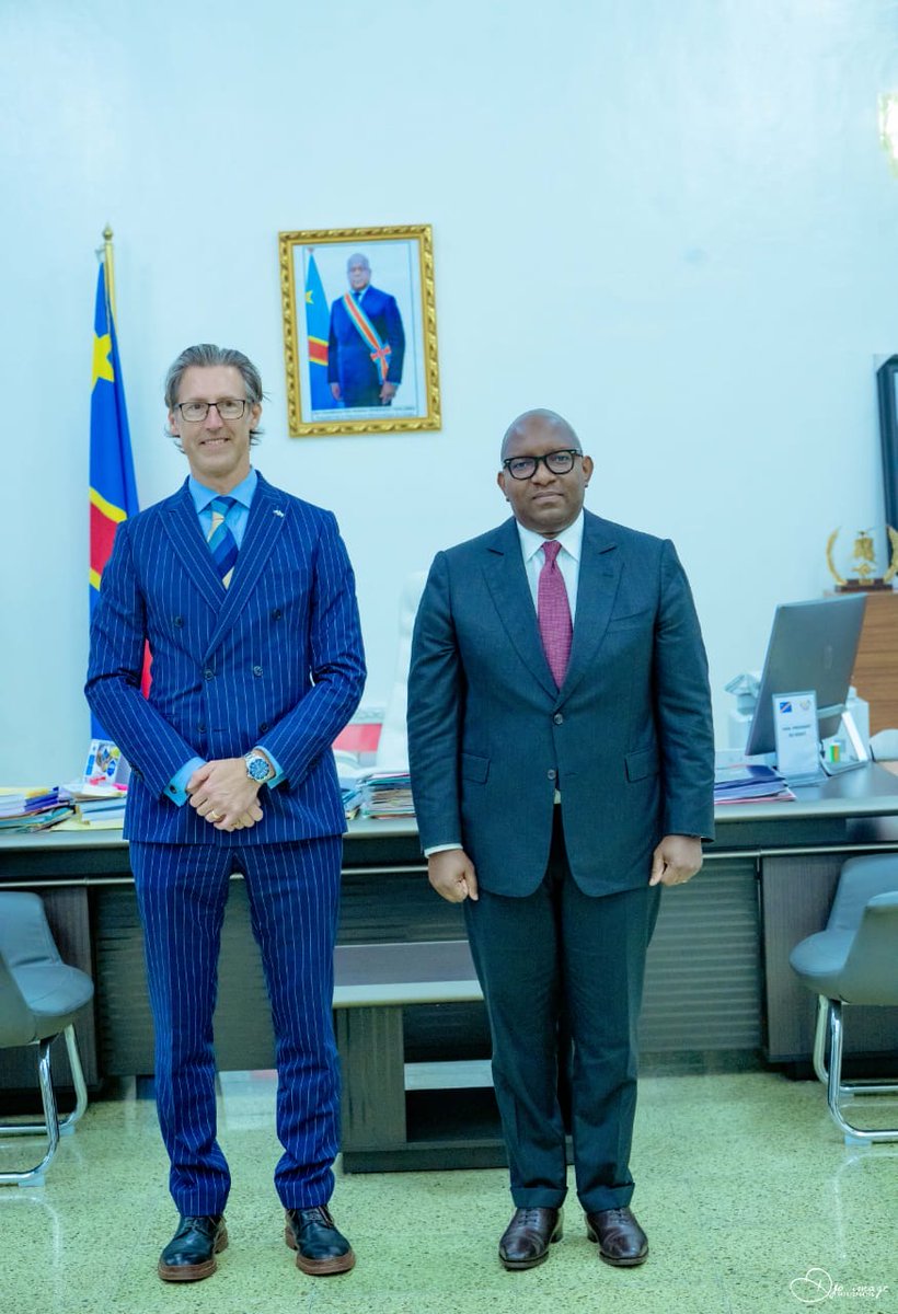 Sweden in DR Congo tweet media