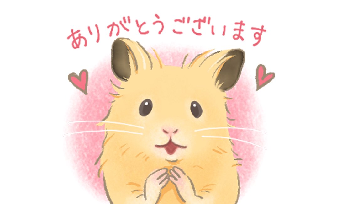 RAY LAB合同会社 tweet media