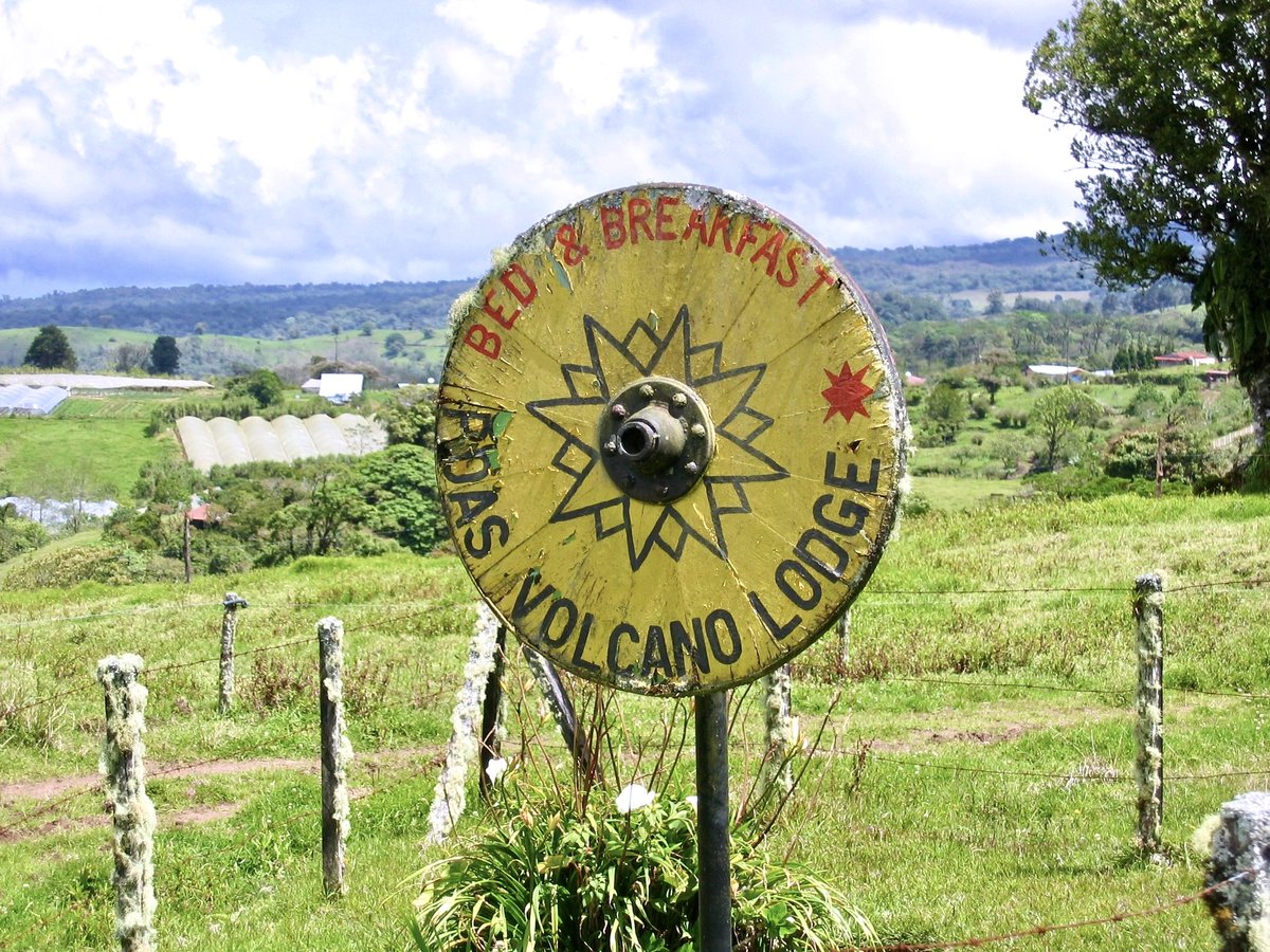 badbrain33's tweet image. #DailyPictureTheme #QXYZAnything #yellow